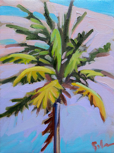 Palm at Higgs Beach
