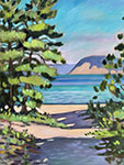 Whaleback from Good Harbor