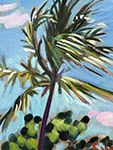 Coconut Palm '26