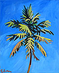 Single Palm Beach Palm