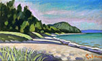 Van's Beach
